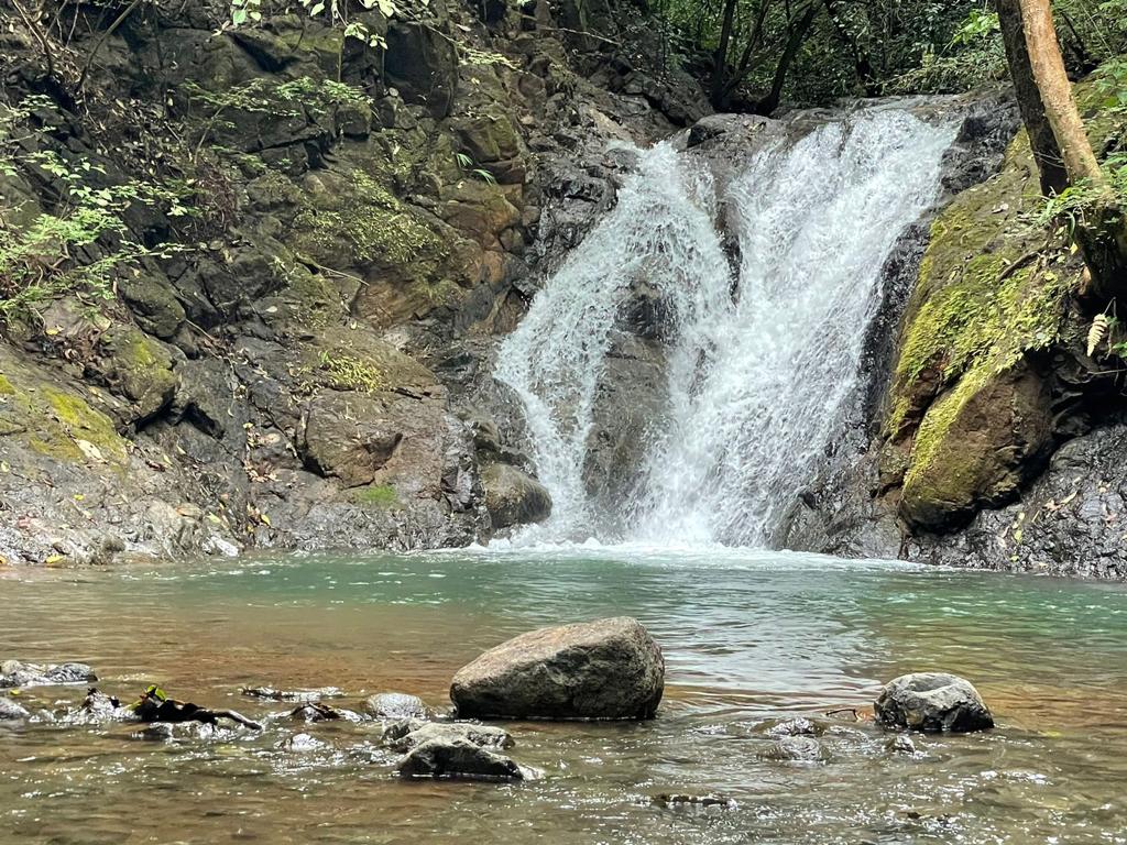 Waterfall Tour