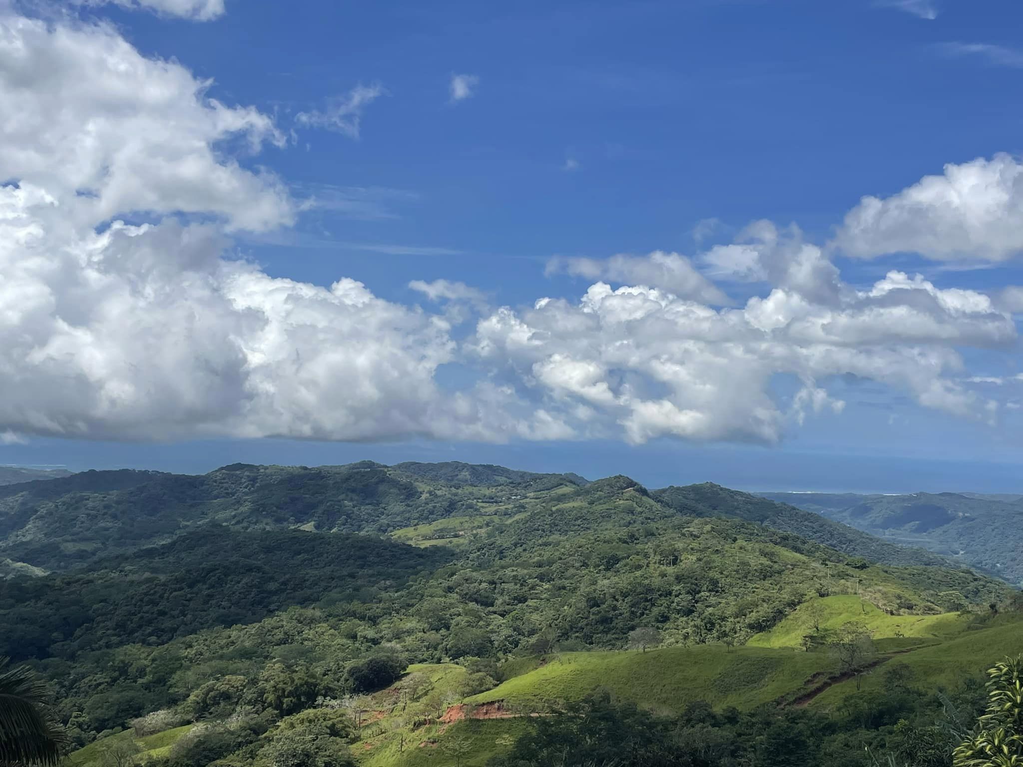 Sabor de la Montaña