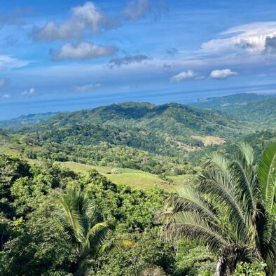 Fincas de Sabor de la Montaña